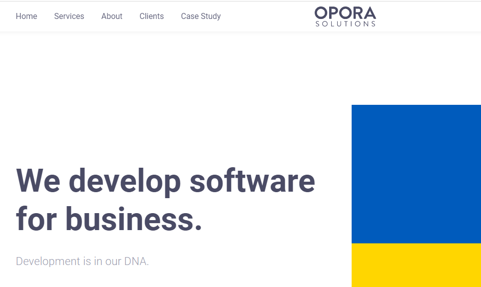 Software Development OporaSolutions 
