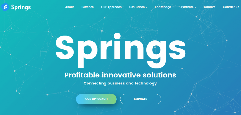 API development companies Springs