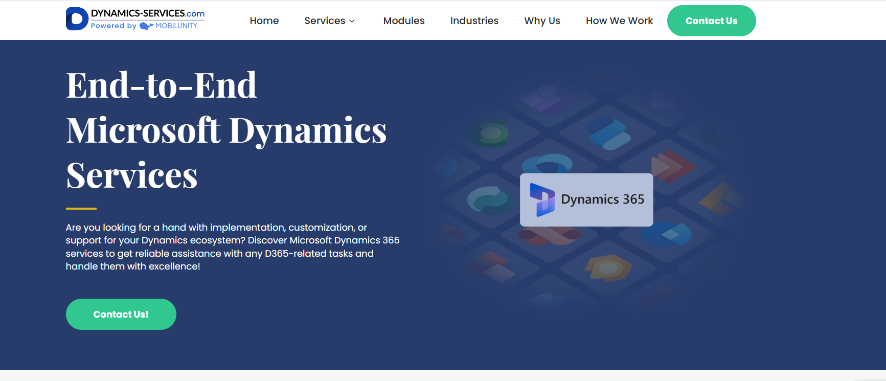 Dynamics Services website