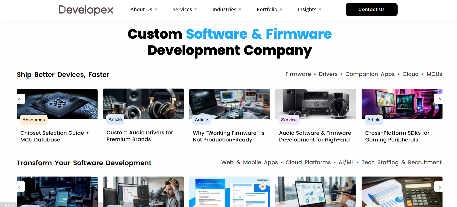Developex Developex Perl Consulting Company