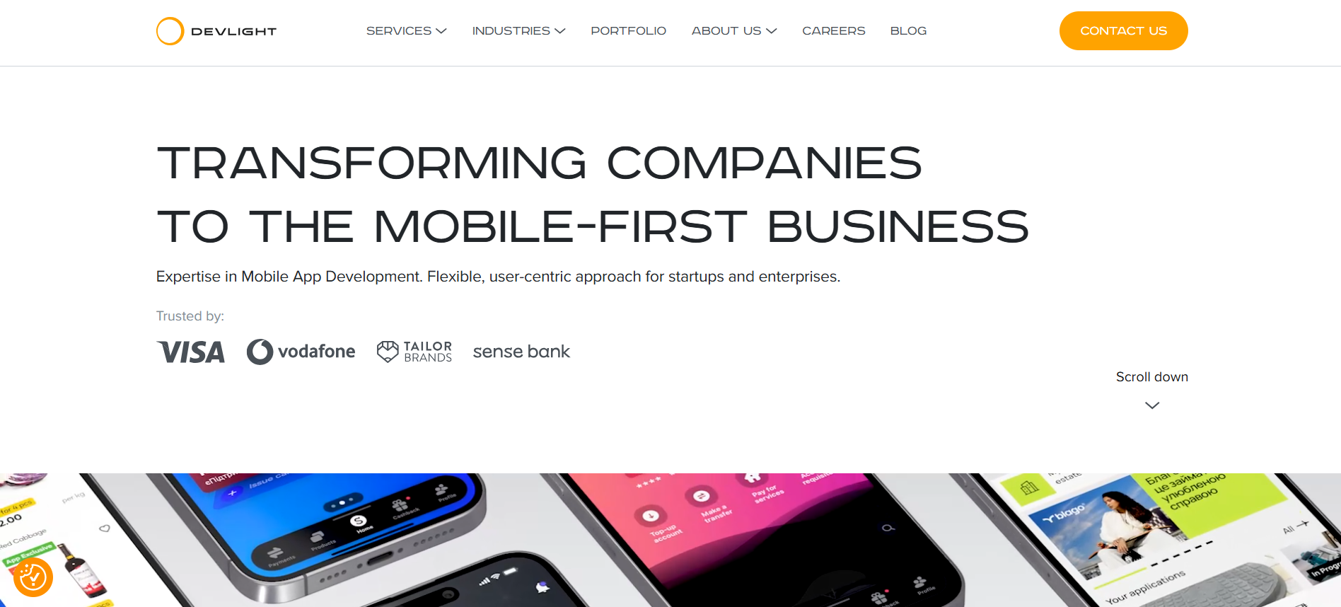 Mobile Development Company Devlight