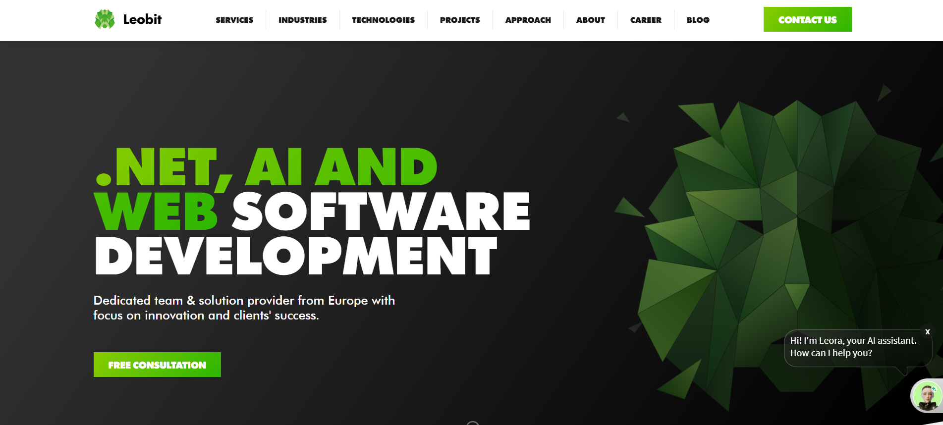 .NET Consulting Company Leobit