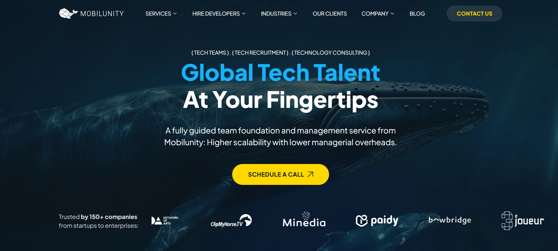 Best Django Consulting Company Mobilunity