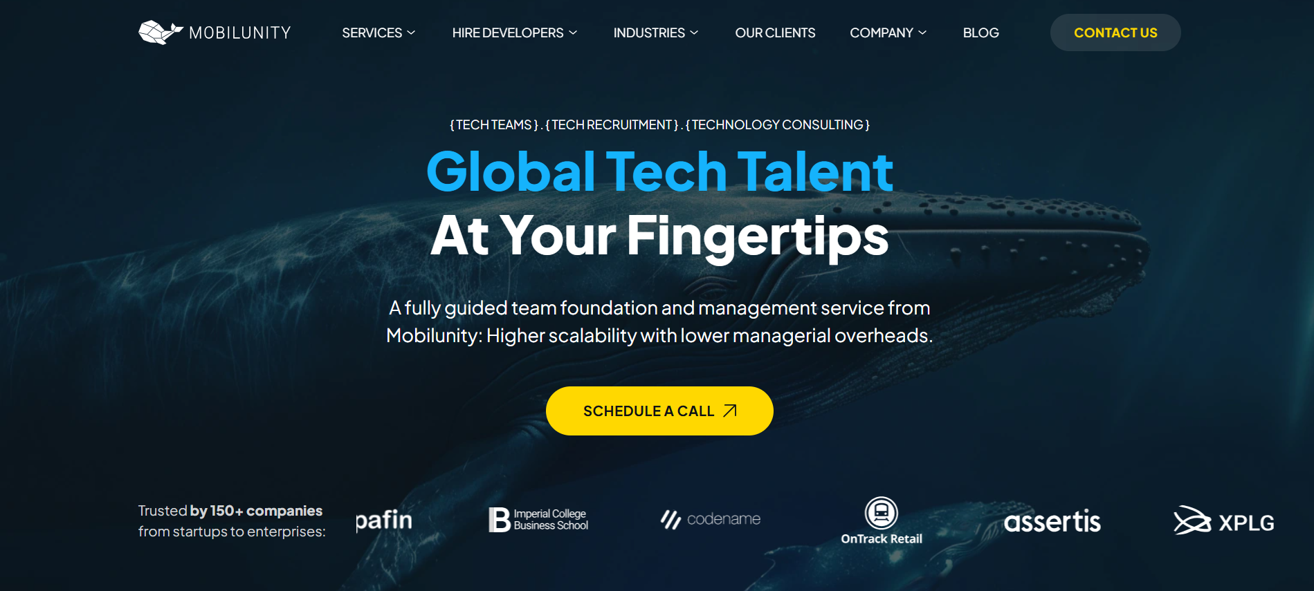 Top Elixir Consulting Agency Mobilunity