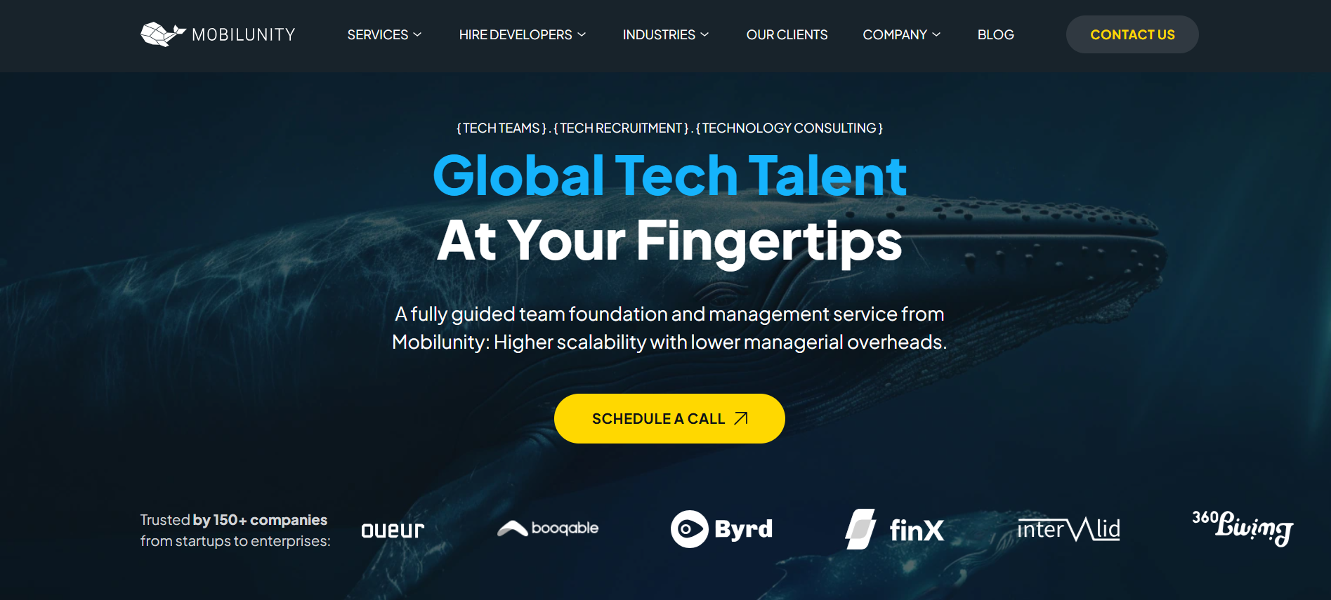 Mobilunity Mobilunity Perl Consulting Company
