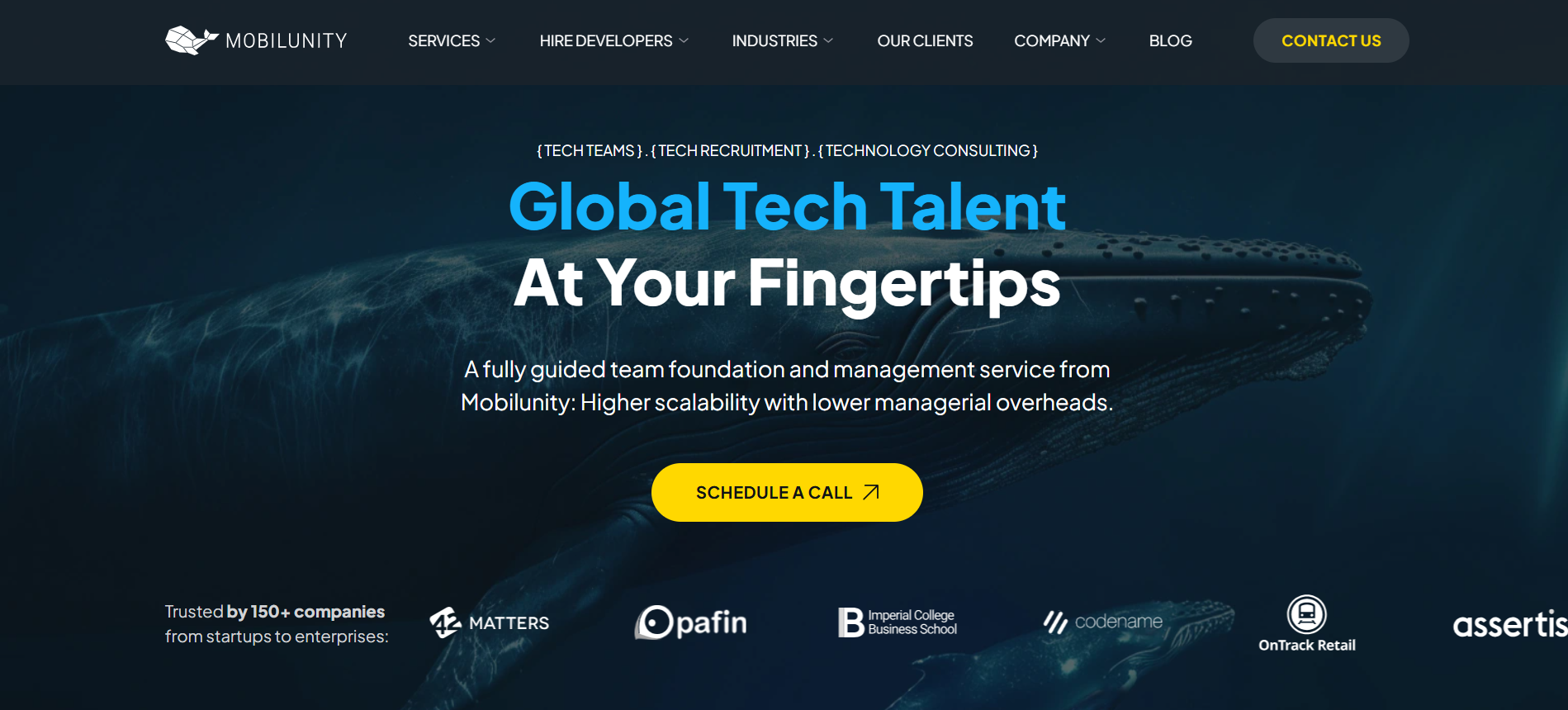 Best TypeScript Consulting Firm Mobilunity