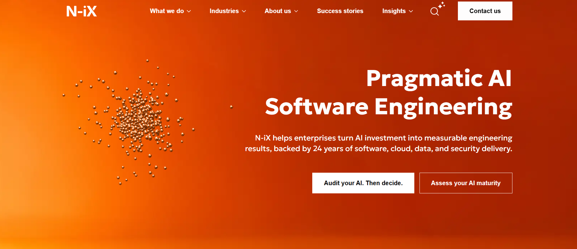 .NET Consulting Company N-iX