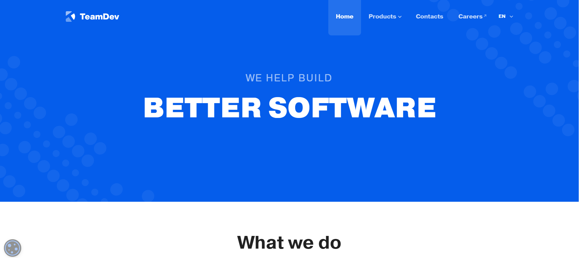 TeamDev TeamDev Perl Consulting Company