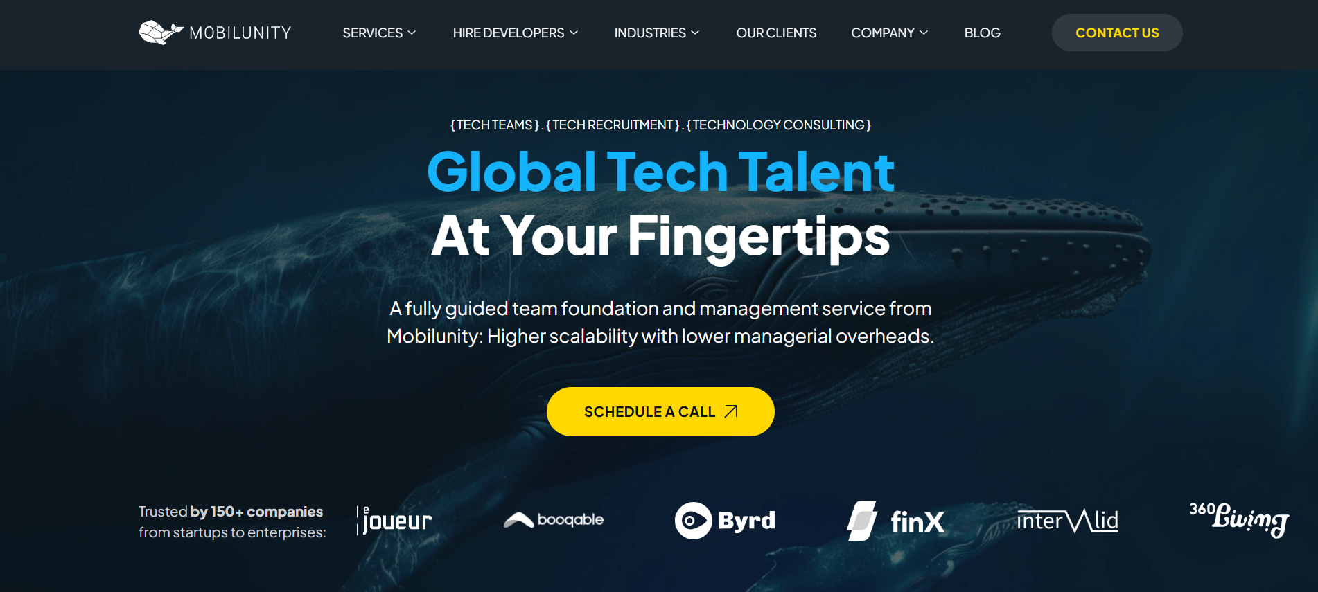Leading Frontend Development Firm Mobilunity